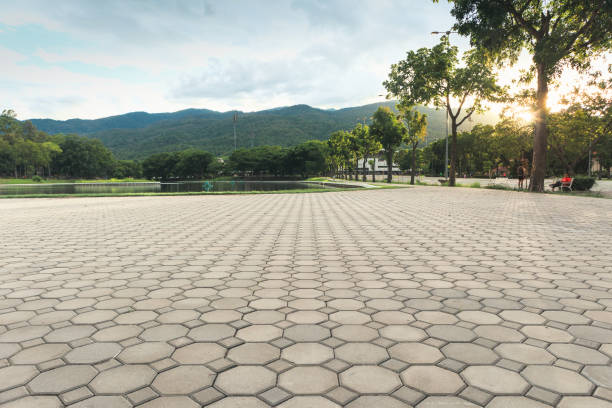 Best Residential Driveway Paver Services  in Alamo, CA