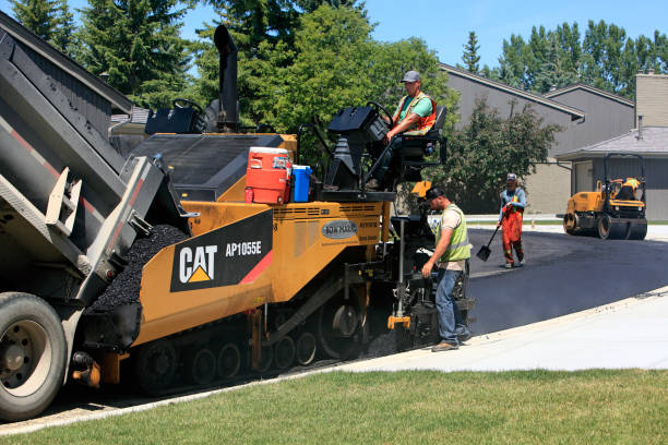 Best Residential Paver Driveway  in Alamo, CA